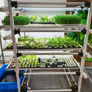 Tự động thức ăn gia súc nảy mầm máy trong nhà nông nghiệp hệ thống microgreens phát triển hệ thống microgreen seeding giá - Product Image 2