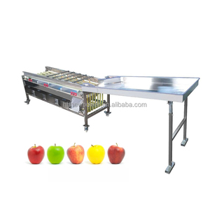 Clasificación de aguacate de guayaba de alta eficiencia, clasificación de tamaño de Palma de kiwi de ciruela, máquina clasificadora al mejor precio - Product Image 1