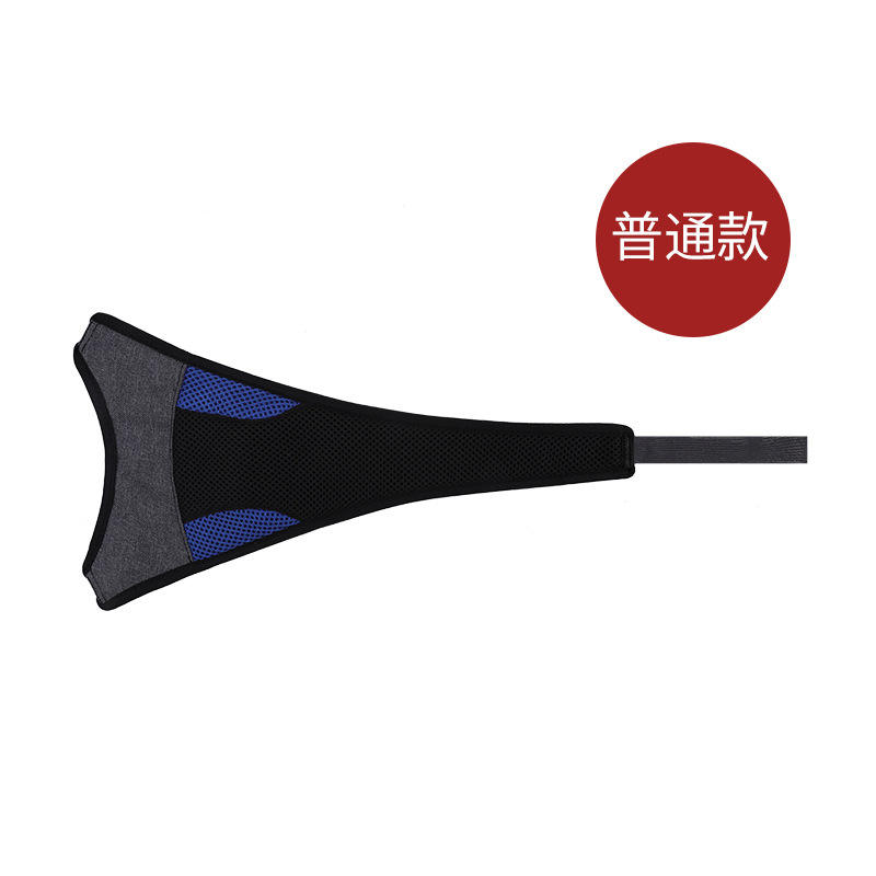 รุ่นมาตรฐาน สีดำและสีน้ำเงิน ไม่มีป้าย