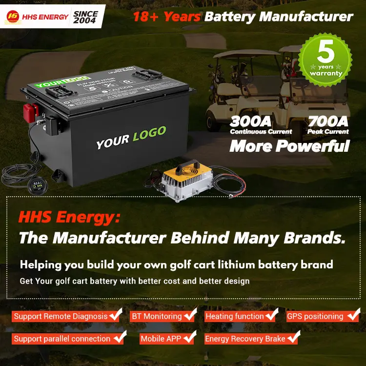 Литиевая батарея для гольф-кары, 48 В, 100 А/ч, 200 А/ч