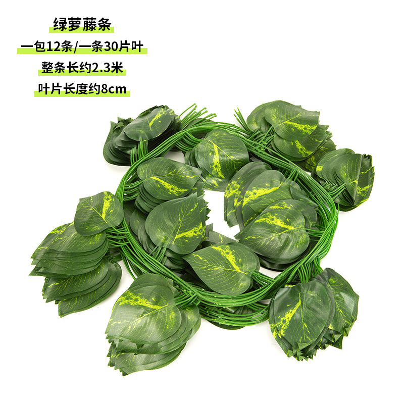 30 pothos vines (12 vines per pack)