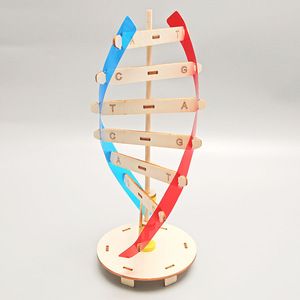 DNA çift sarmal yapısı modeli teknolojisi küçük el yapımı diy İnsan gen biyolojik bilim deney ekipmanları DNA modeli - Product Image 6