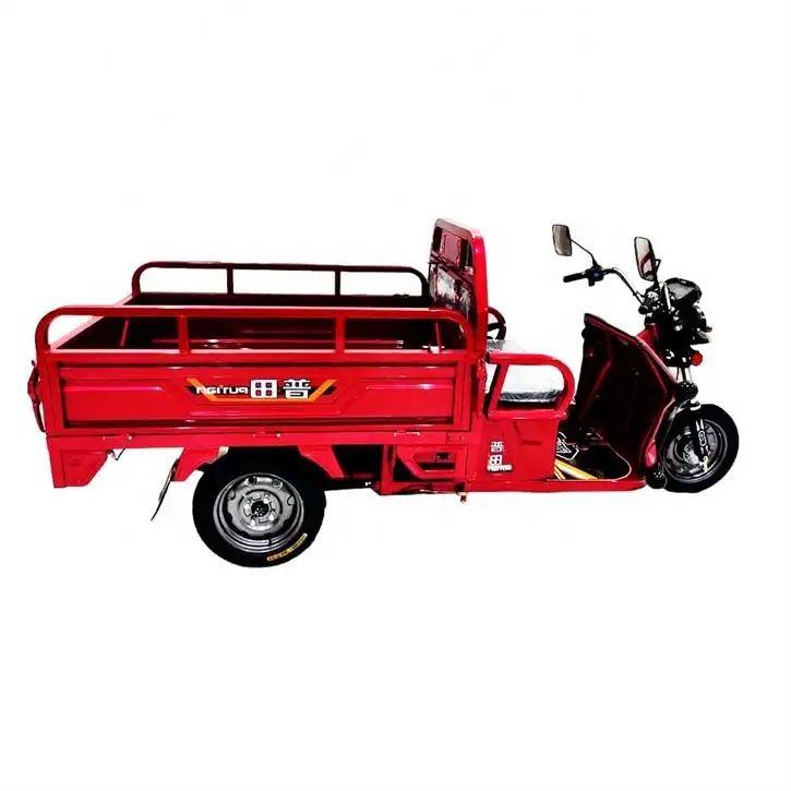 New Product Gas Powered Motorcycle Motor 3 Wheel Electric China Trike 300Cc 2000W Three Wheeler Motorized Tricycle