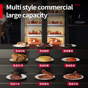 Sığır kuru yaşlanma buzdolabı fileto biftek et kuru Ager kabine FridgeGlobal limana ücretsiz kargo - Product Image 4