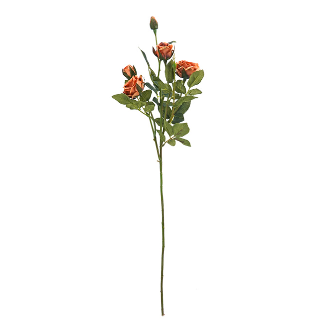 Malva Naranja