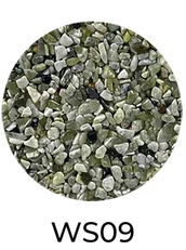 WS09
