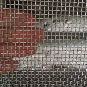 <strong>2MM</strong> 3MM 4MM 5MM 6MM 8MM 10MM 12MM 15MM 20MM Hole Stainless Steel Crimped <strong>Wire</strong> <strong>Mesh</strong> for Screening - Product Image 5