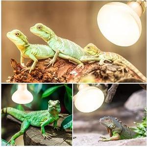 Sử Dụng Nhà Xách Tay Hồng Ngoại Trị Liệu Đèn 100W / 150W R95 E27 Cơ Sở Sưởi Ấm Đèn R95 Sưởi Ấm Hồng Ngoại Đèn - Product Image 3