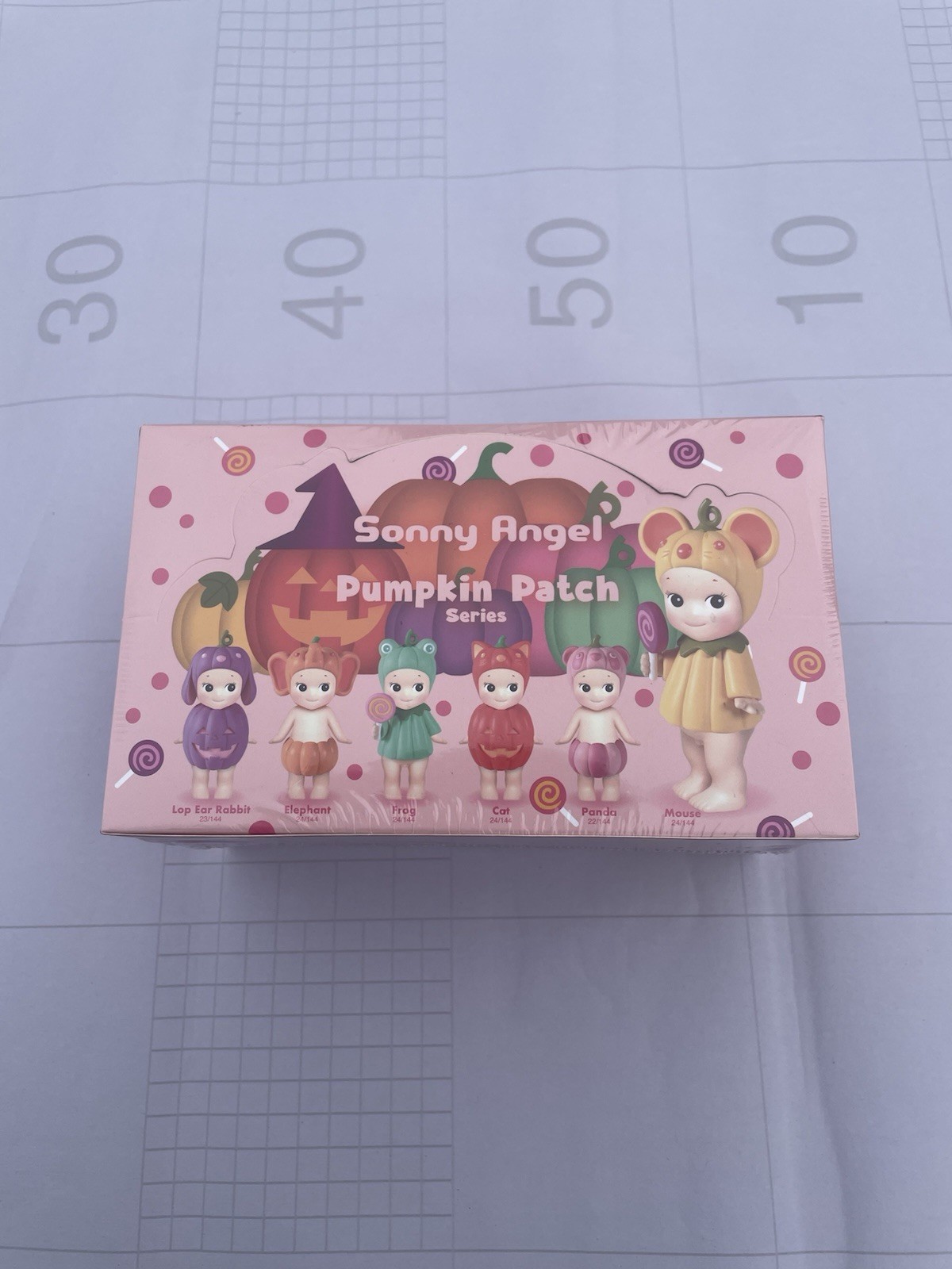 Pumpkin Patch 6 Boxes/Set