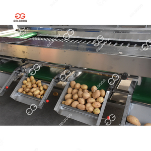 <strong>Cucumber</strong> <strong>Sorting</strong> and Packing <strong>Machine</strong> Long Vegetable Length Grader <strong>Machine</strong> 5Mt/H Vegetable Grader for Sale