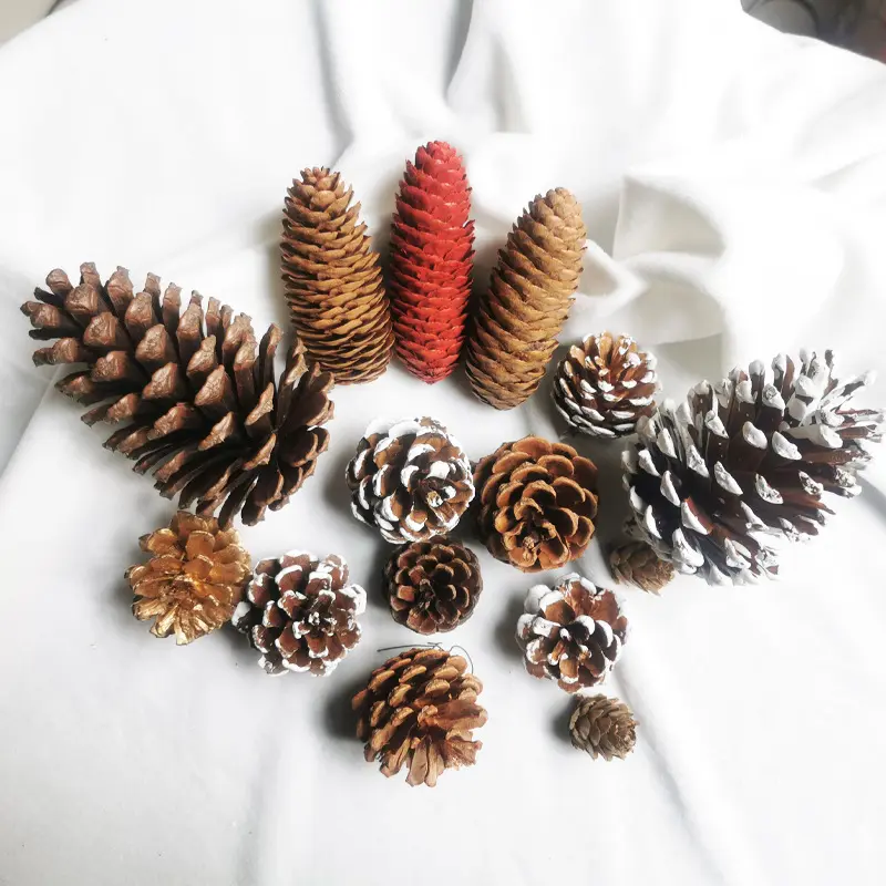 Natural Dried Fruits Christmas Decoration Pine Cones Factory Outlet Pine Cone Ornaments Pine Cone Ornaments