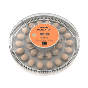 Hhd Poulet 30H Egg Incubator Hatching Machine With Automatic Temperature <strong>Control</strong> Supply Controller Incubator Egg Hatcher Machine - Product Image 6
