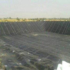 <strong>HDPE</strong> <strong>LDPE</strong> PVC EVA Material Flexible <strong>Hdpe</strong> Geomembrane 1mm for Fish Farming - Product Image 6