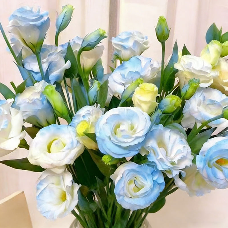 7# Crushed ice blue