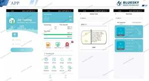 Bluesky, система управления топливной станцией - Product Image 4