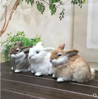 come in foto