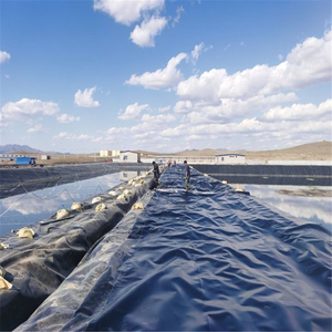 Kaliteli HDPE geomembran 1mm HDPE geomembran plastik yeni mağaza satış promosyonu geomembran astar - Product Image 4