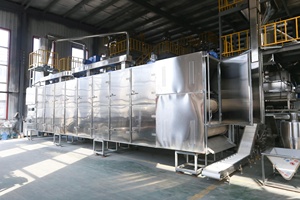 1000 kg/std automatische trockene nasse Kibble Haustier Hund Katze Fisch Garnelen Lebensmittel Produktions system Futter Maschinen Extruder Verarbeitung linie - Product Image 5