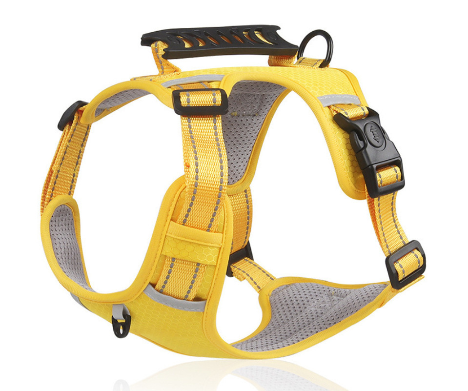 Jaune