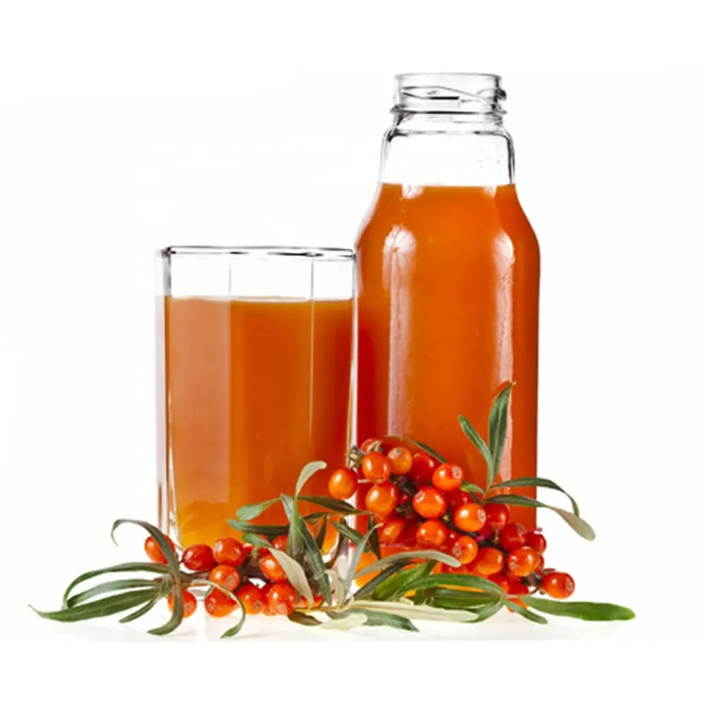 100% Minyak Buah Seabuckthorn Murni dan Organik Harga Kompetitif