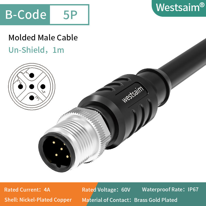 M12-B-5ชายตรง