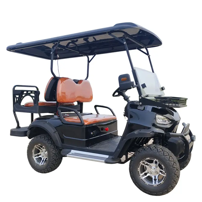 2023 gran oferta Go Kart 4 pasajeros carrito de Golf trasero 2 asientos carrito de Golf eléctrico