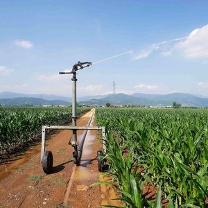 先进的软管卷盘冲洗器-高效、多功能、自动浇水设备。可调喷雾模式。可用桁架 - Product Image 1