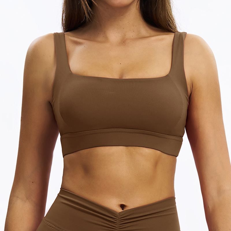 Brown Bra2