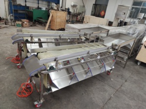 <strong>Dates</strong> <strong>Sorting</strong> <strong>Machine</strong> with Whole Fruit Processing Machinery - Product Image 2