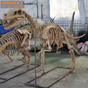 用于展示科学展览的树脂猛禽骨骼化石恐龙模型 - Product Image 6