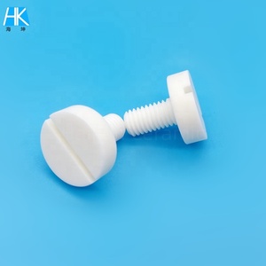 High <strong>End</strong> Customized Size M2 M3 M8 M12 M18 High Hardness Alumina Ceramic Slotted Screw