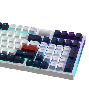 TOPSTYLE-Teclado de escritorio con Bluetooth, caja de ABS con retroiluminación RGB, logotipo OEM, paquete de caja de Color, 101 teclas, USB 2,0 - Product Image 4