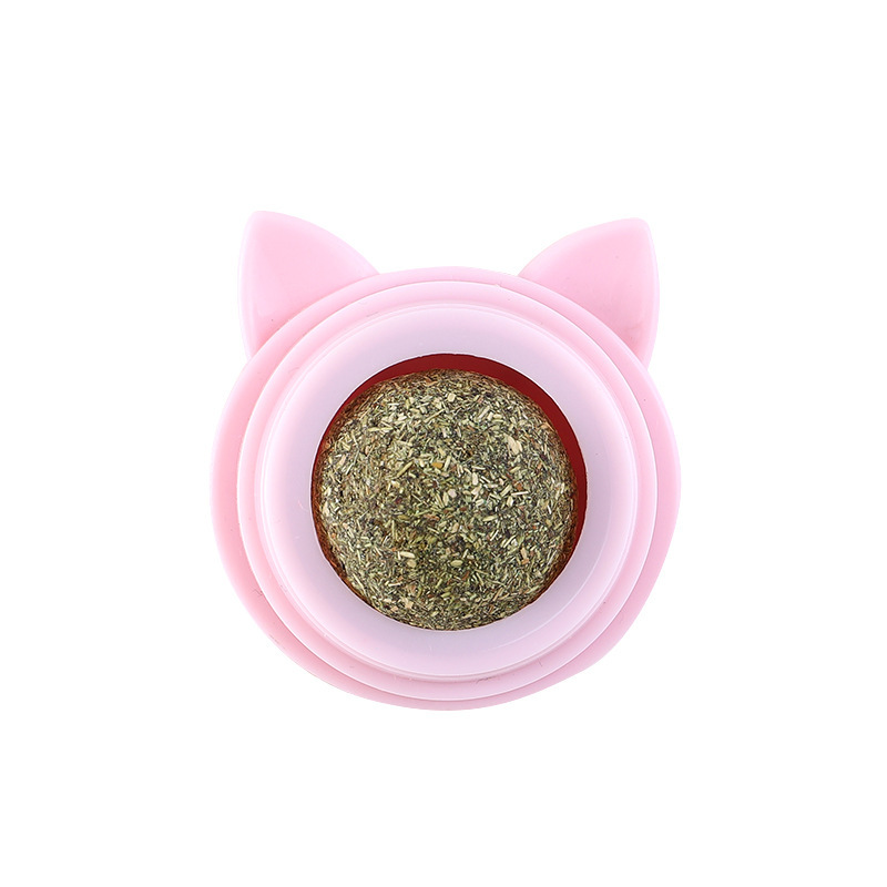 gatto rosa