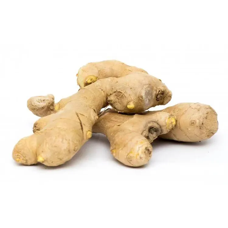 China Fresh Ginger Export Quality From Shandong