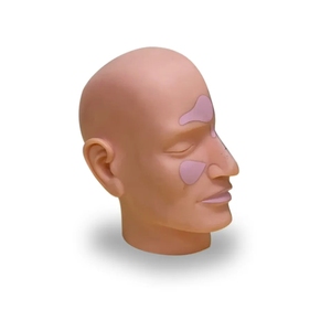 Mô hình giảng dạy y tế Mô hình giải phẫu não liên tục y tế Mô hình giải phẫu sagittal đầu người - Product Image 4