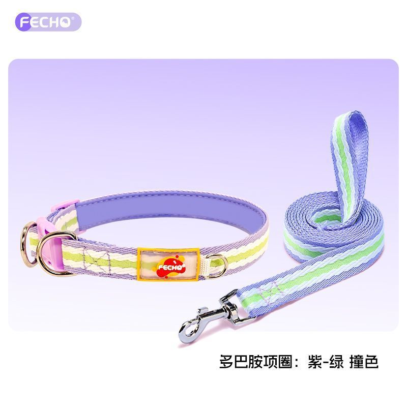 Collar morado - correa morada