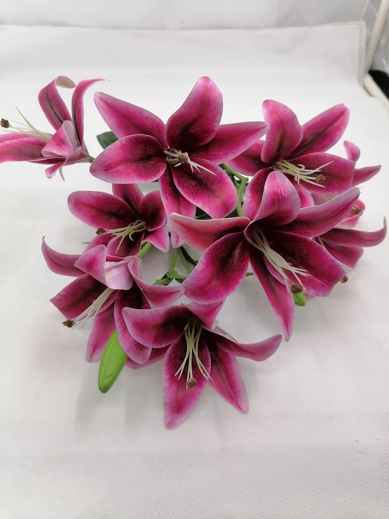 Fuchsia