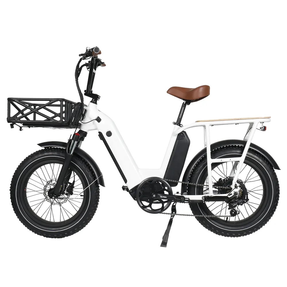2022 latest model electric post bike food delivery bike 48V 750W dual battery ebike electric fat tire cargo bike