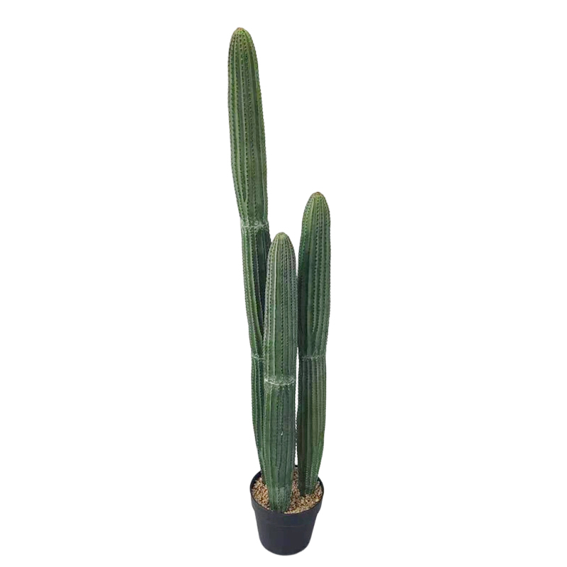 103cm
