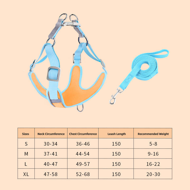 สีฟ้า + สีส้ม