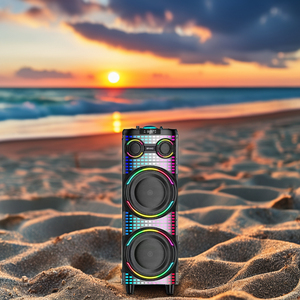 Venda quente 90W Portable Karaoke Speaker Duplo 10 polegadas RGB LED USB AC Casa Festas Ao Ar Livre Amplificador 100W Saída