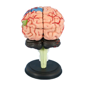 LHN025 scienza medica di insegnamento della struttura del cervello modello di anatomia staccabile 4D 32 parti del cervello umano - Product Image 2