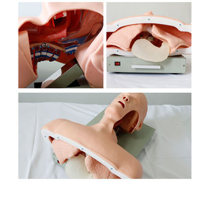 Advanced Intubation Alarmed <strong>Human</strong> Patient Simulators Training Manikins - Product Image 2