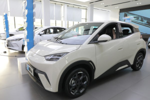 <strong>2025</strong> BYD Seagull Vitality Modern Auto New Energy Vehicle Intelligent Driving Features Left Steering Cruise Control Rear Camera - Product Image 4