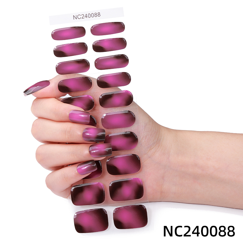 NC240088