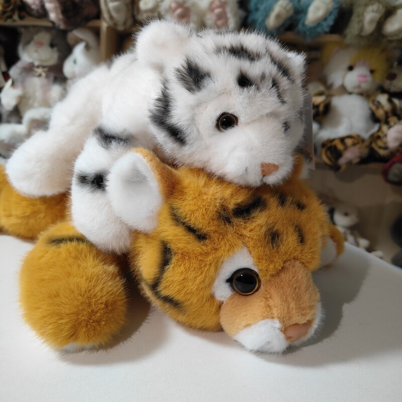 tigre blanco