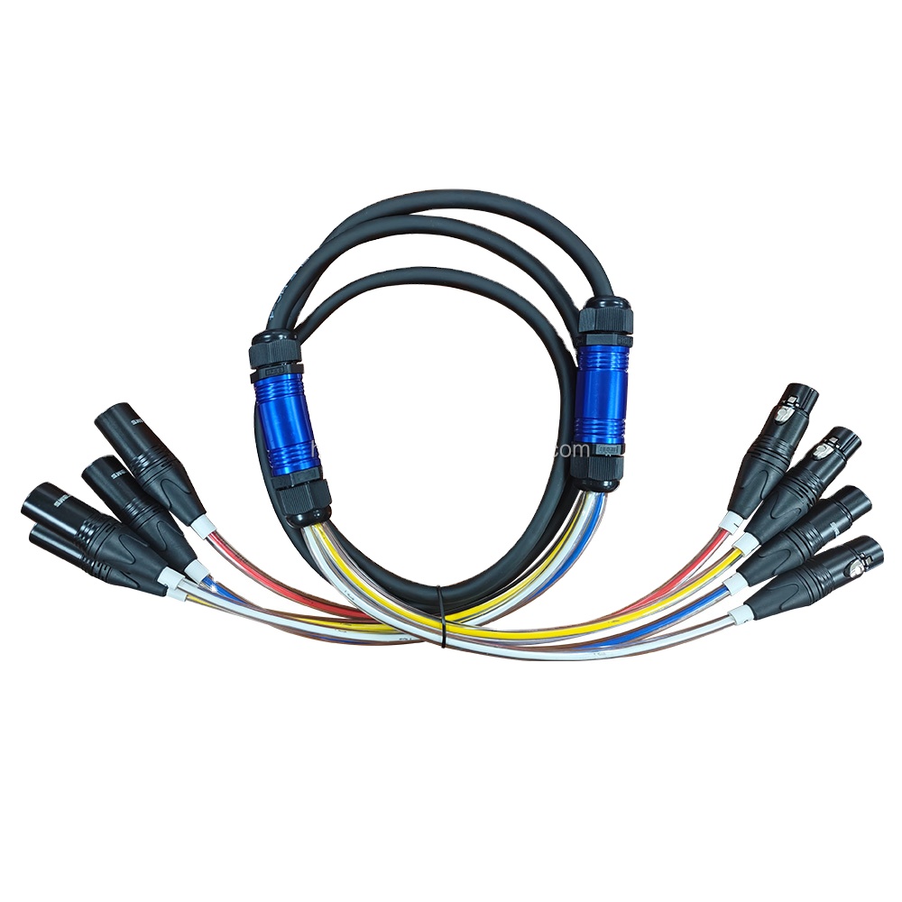 ดำ 4 ชายถึง 4 หญิง XLR