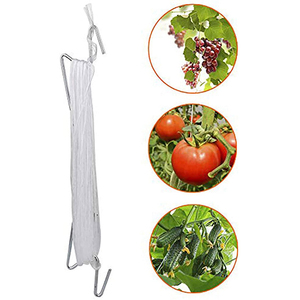 PP Material Tomaten Gurke Obst Gemüse Rebe Hänge haken Gewächshaus Sämling Hängende Rebe Haken - Product Image 5