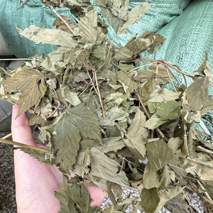 بالجملة كميات كبيرة عالية الجودة الأعشاب المجففة طبيعيا أوراق التوت الأحمر أوراق الشاي للبيع - Product Image 4