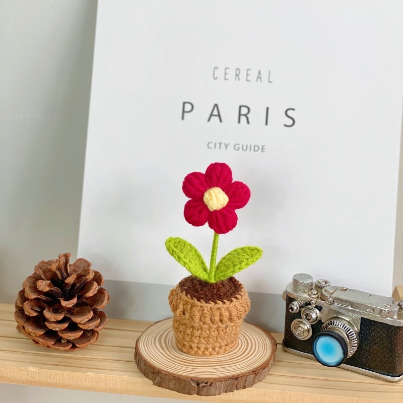 B red puff flower potted